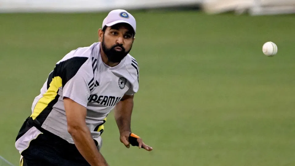 Revealed: Why Mohammed Shami Has Not Been Picked In India Squad For New Zealand Series?